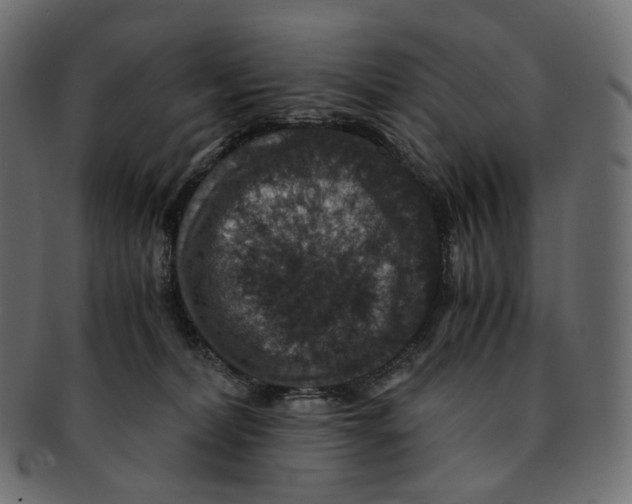 X0000091940228200710031123