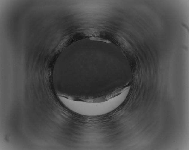 X0000091940229200710031123