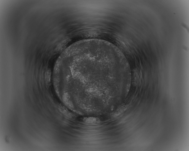 X0000091940230200710031123