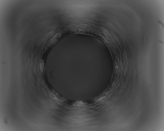 X0000091940231200710031123