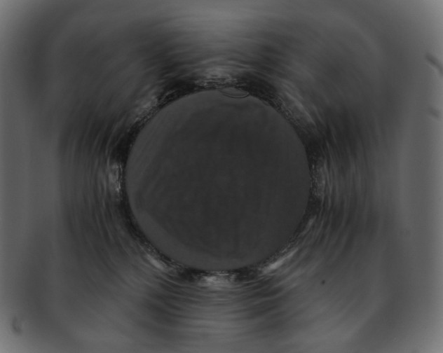 X0000091940232200710031123