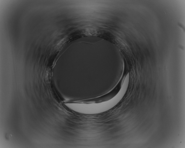 X0000091940233200710031123