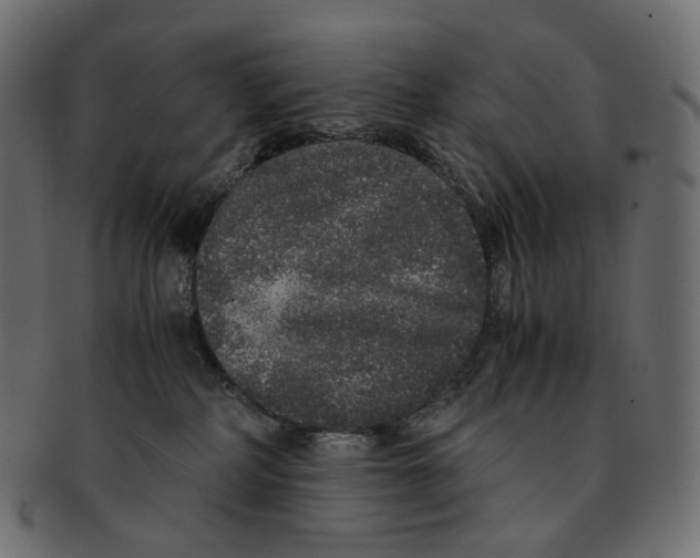 X0000091940234200710031123