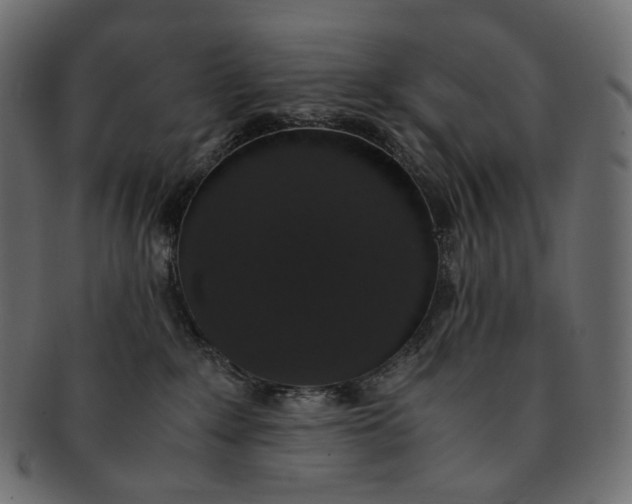 X0000091940235200710031123