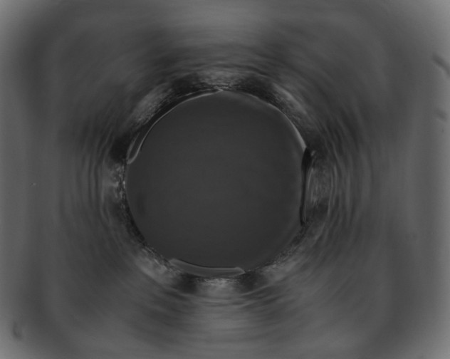 X0000091940237200710031123