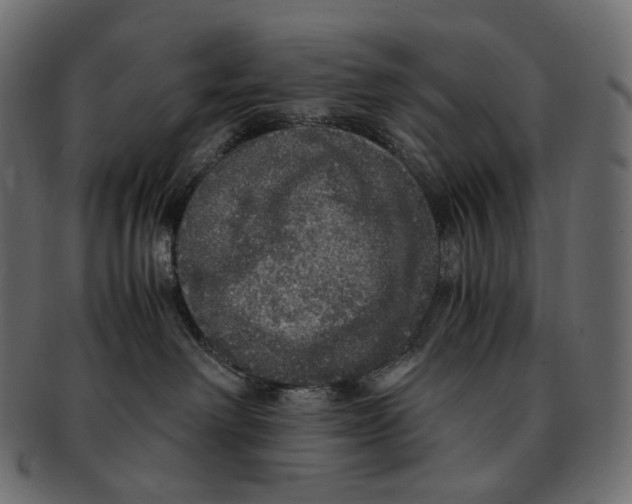 X0000091940238200710031123