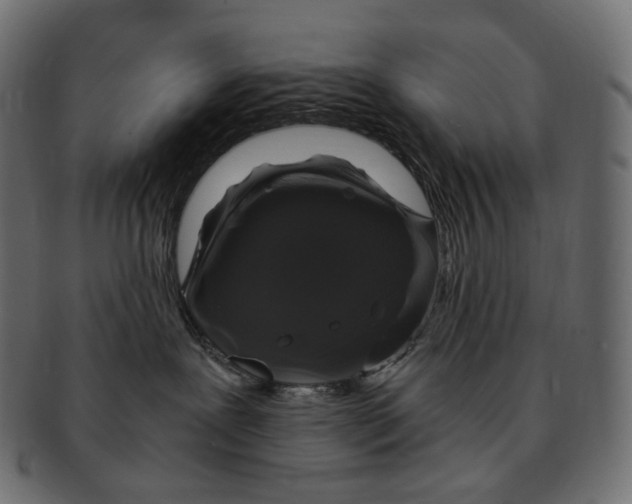 X0000091940239200710031123