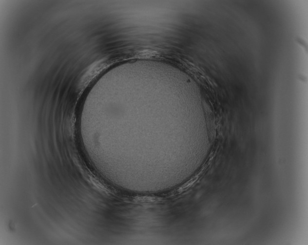 X0000091940242200710031123