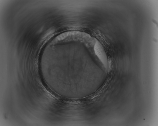 X0000091940243200710031123