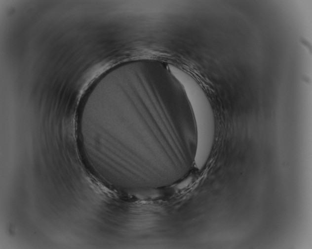 X0000091940244200710031123