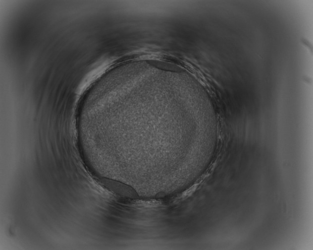 X0000091940245200710031123