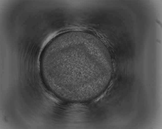 X0000091940246200710031123