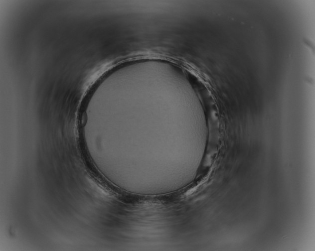 X0000091940248200710031123