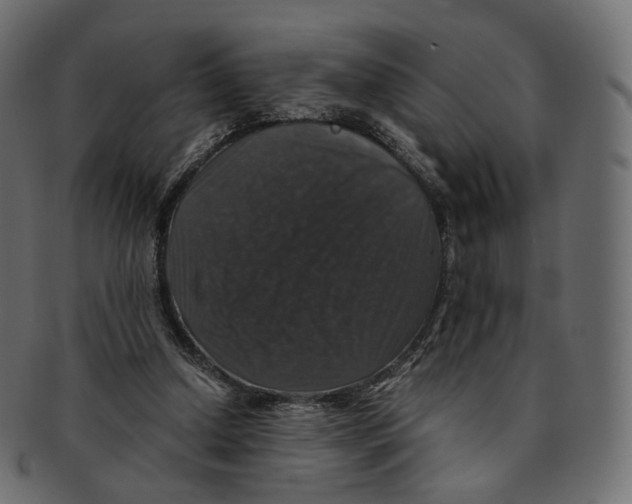 X0000091940250200710031123