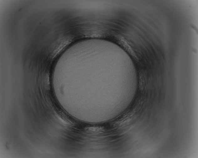 X0000091940251200710031123