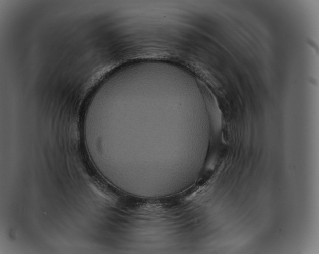 X0000091940252200710031123