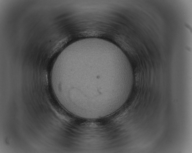 X0000091940254200710031123