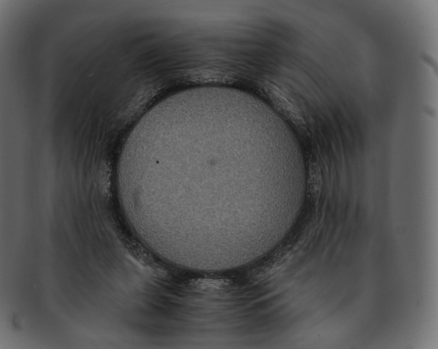 X0000091940255200710031123