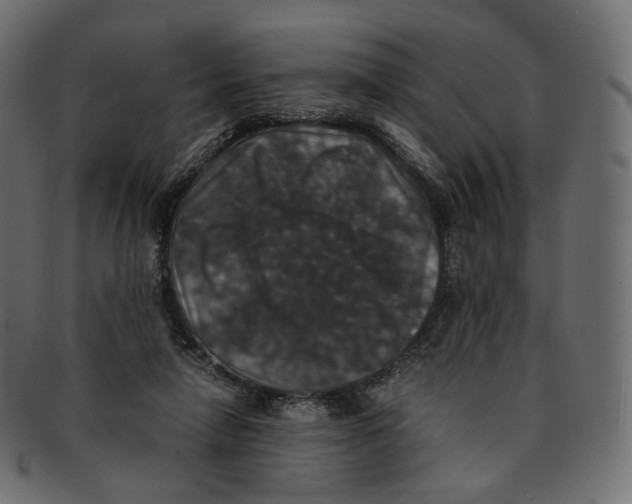 X0000091940258200710031123