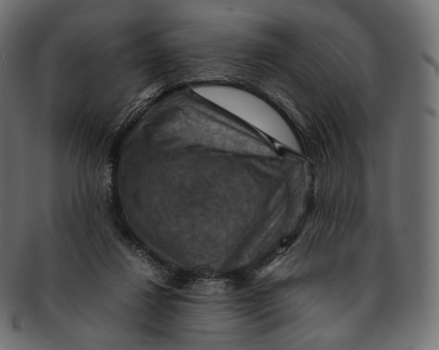 X0000091940260200710031123