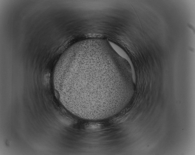 X0000091940263200710031123