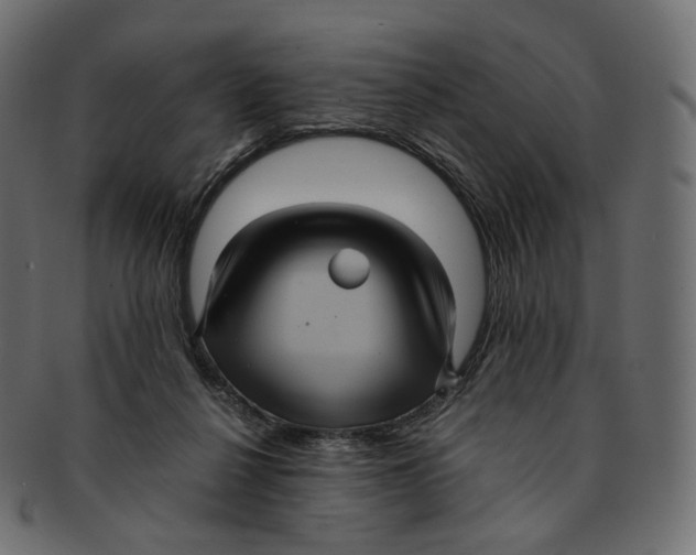 X0000091940264200710031123