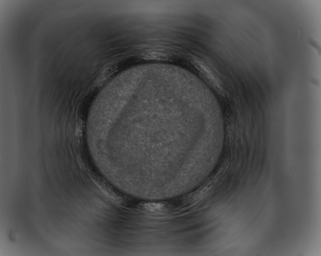 X0000091940265200710031123