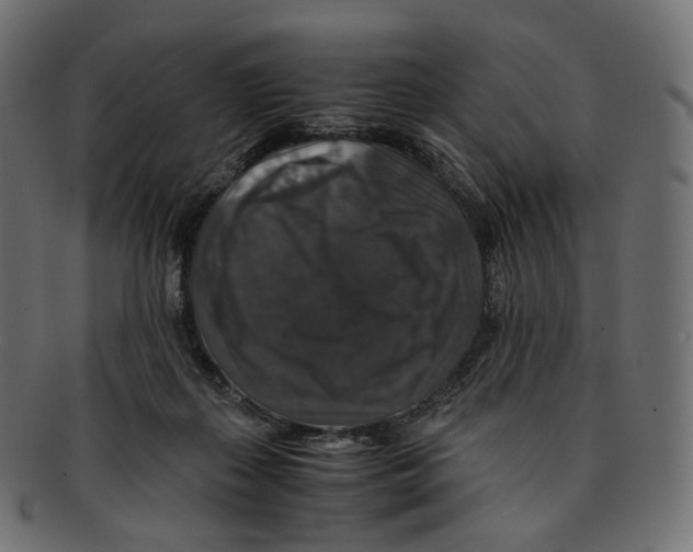 X0000091940267200710031123