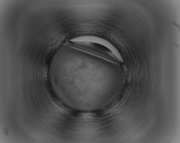 X0000091940268200710031123