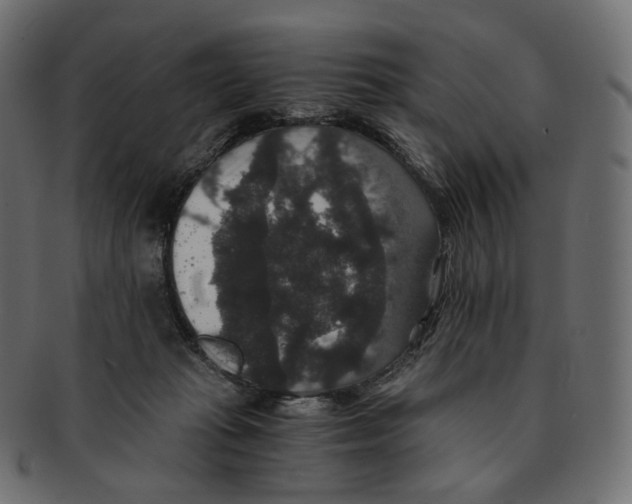 X0000091940269200710031123