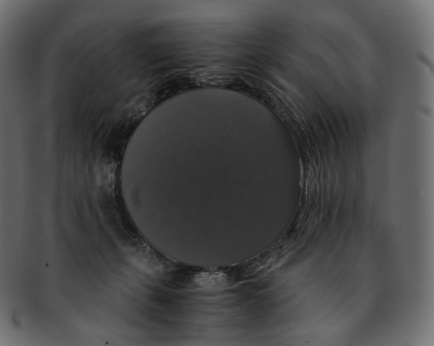 X0000091940271200710031123