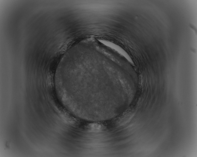 X0000091940272200710031123