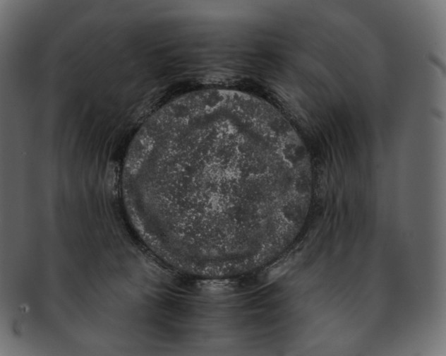 X0000091940273200710031123