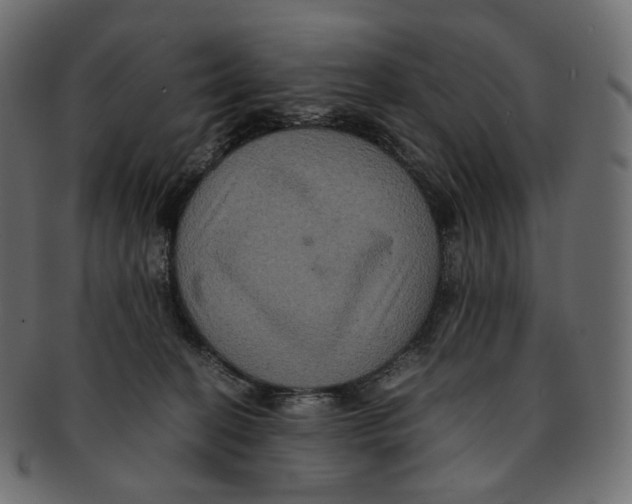 X0000091940274200710031123