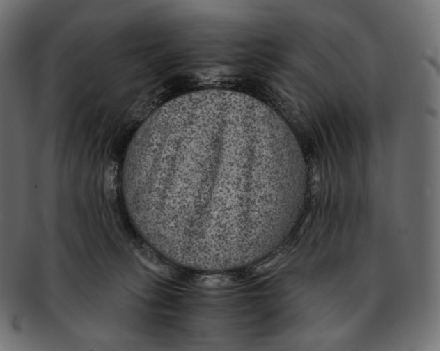 X0000091940275200710031123