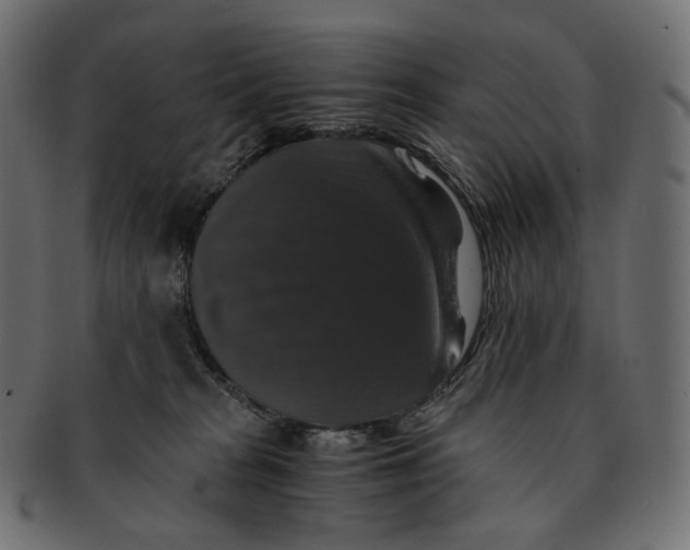 X0000091940277200710031123