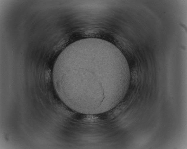 X0000091940278200710031123