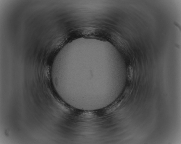 X0000091940280200710031123