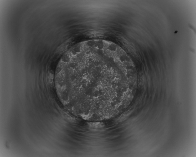 X0000091940281200710031123