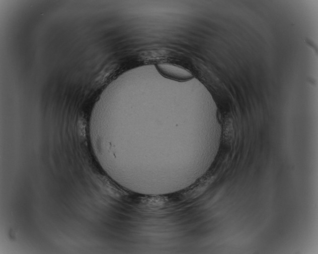 X0000091940282200710031123