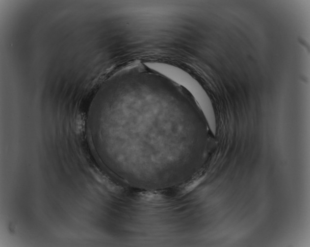 X0000091940284200710031123