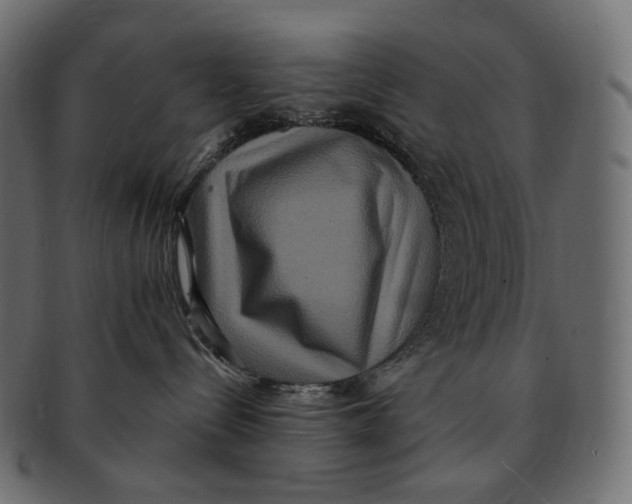 X0000091940288200710031123