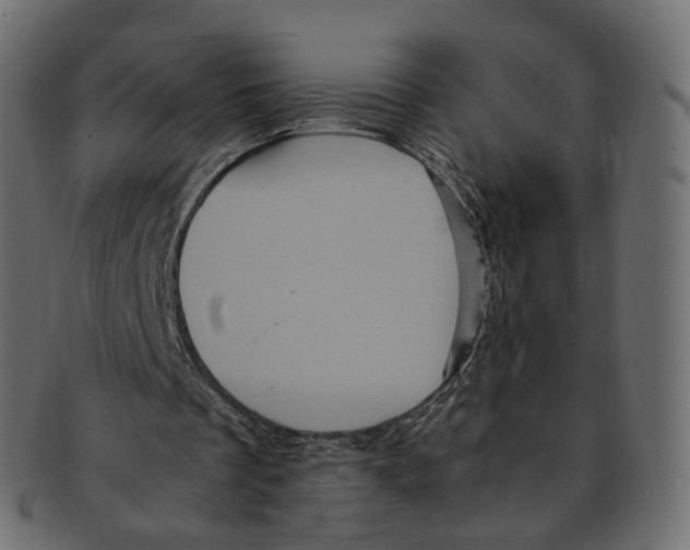 X0000091940289200710031123