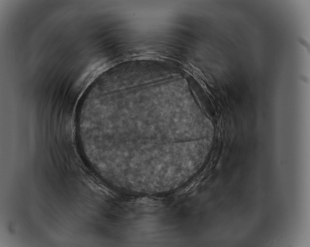 X0000091940290200710031123