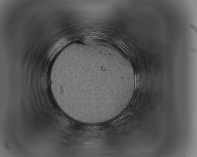 X0000091940291200710031123