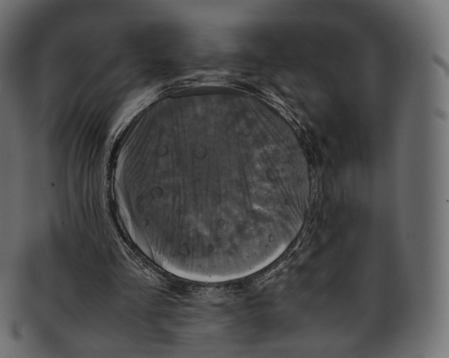 X0000091940293200710031123