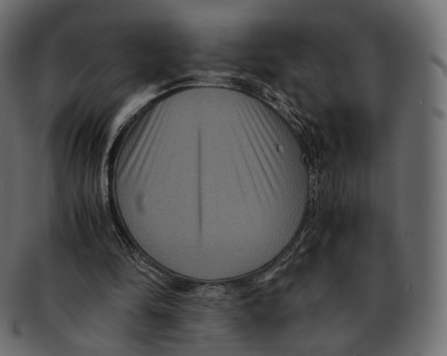 X0000091940294200710031122