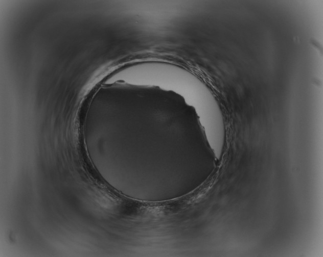 X0000091940295200710031122