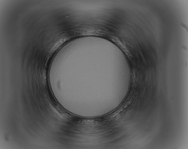 X0000091940298200710031122