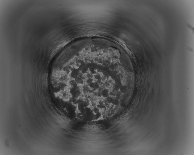 X0000091940299200710031122